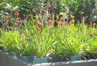 Belroseplant-nursery-17.jpg; ?>