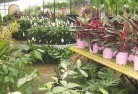 Belroseplant-nursery-7.jpg; ?>